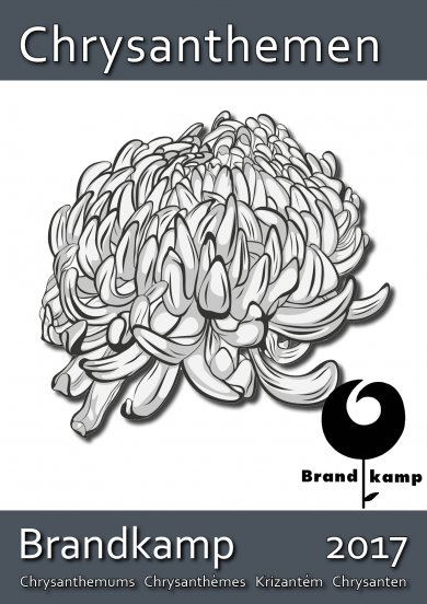 Chrysanthemen Titel 2017 Chrysanthemen Titel 2017